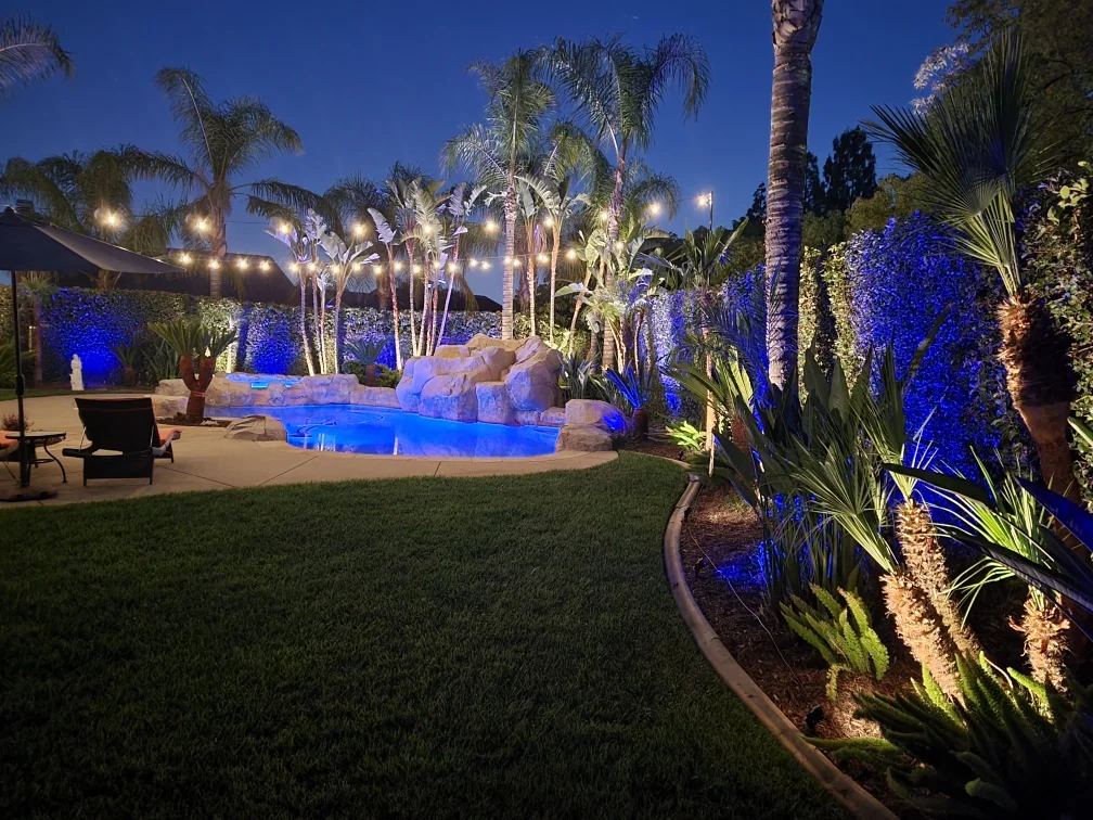 Illuminated backyard pool surrounded by lit palm trees and tropical landscaping at dusk
