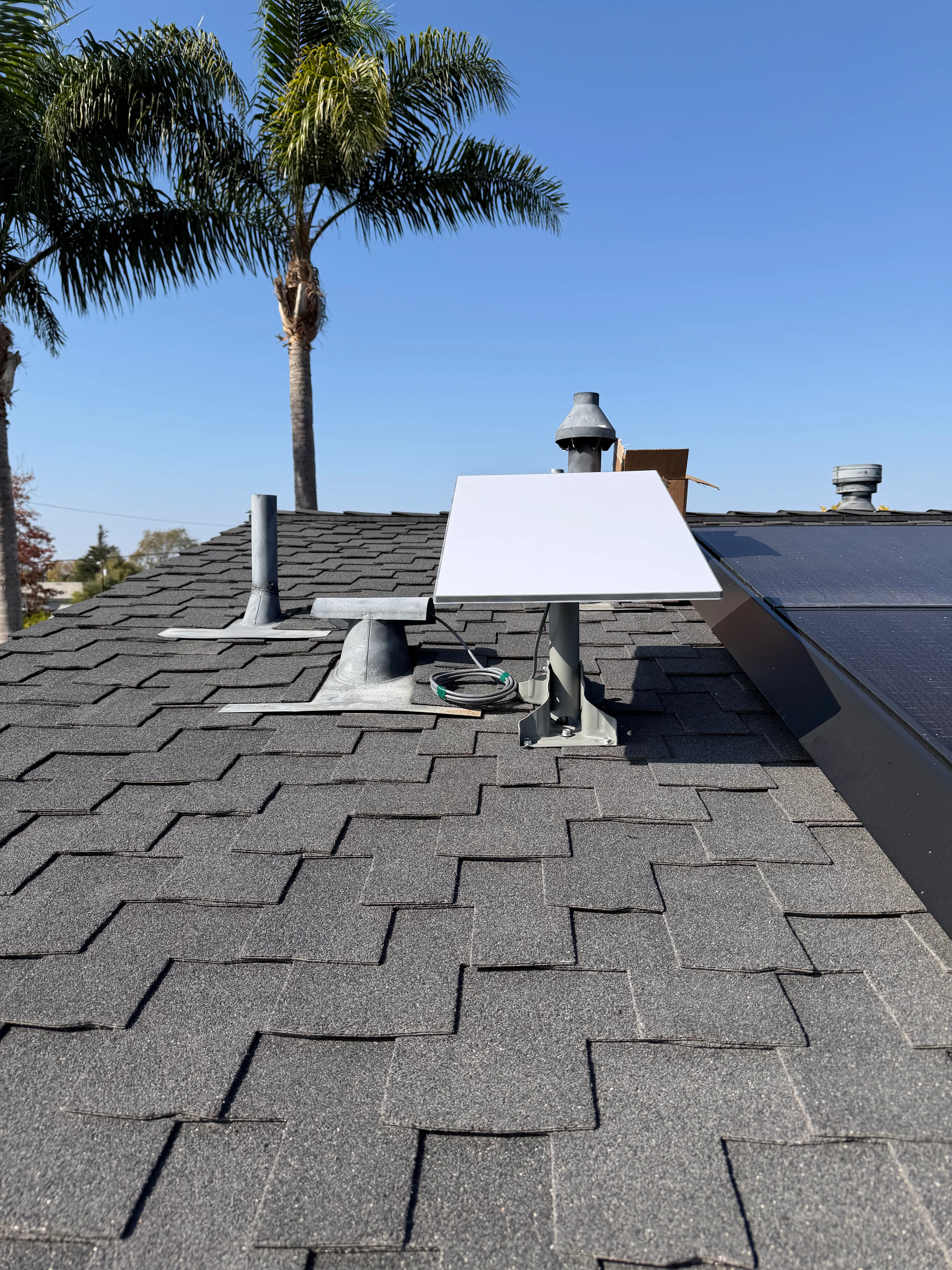 Starlink dish mounted on gray shingle roof with palm tree and clear sky